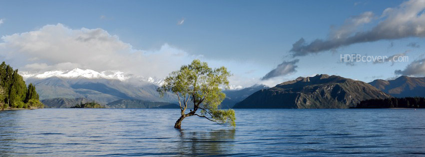 tree-in-river-landscape-fbcover.jpg